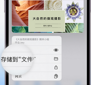 万宁apple维修中心分享iPhone文件应用中存储和找到下载文件