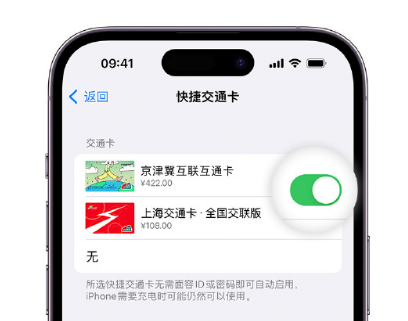 万宁apple维修点分享iPhone上更换Apple Pay快捷交通卡手绘卡面 