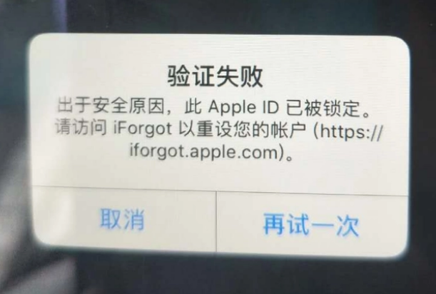 万宁iPhone维修分享iPhone上正常登录或使用AppleID怎么办 