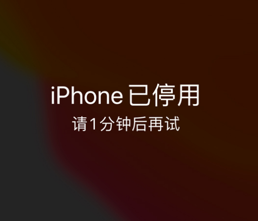 万宁苹果手机维修分享:iPhone 显示“不可用”或“已停用”怎么办？还能保留数据吗？ 