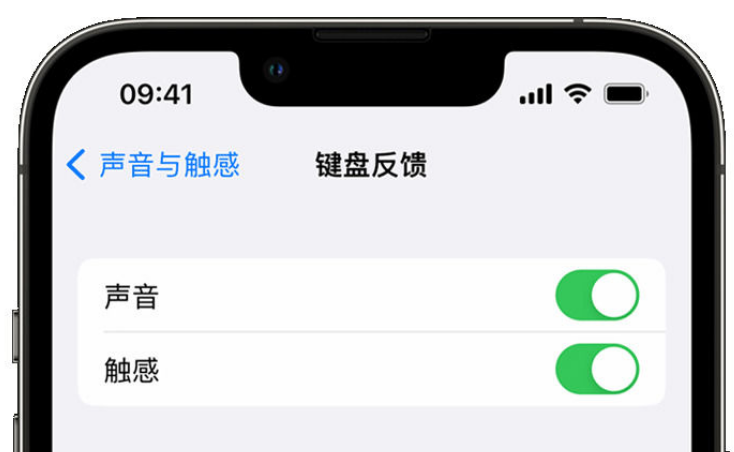 万宁苹果手机维修分享iPhone 14触感键盘使用方法 