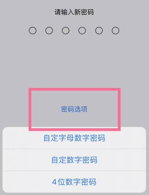 万宁苹果14维修分享iPhone 14plus设置密码的方法 