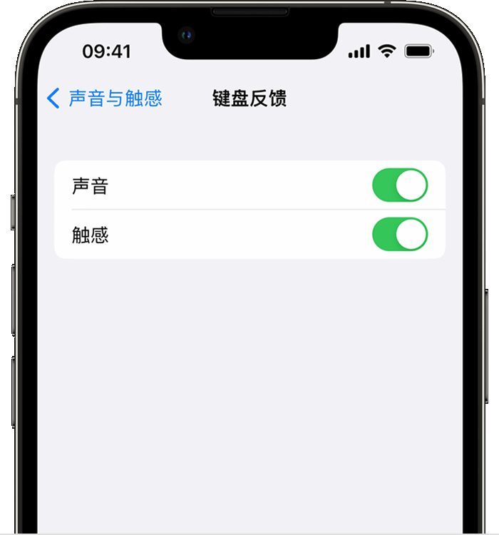 万宁苹果14维修分享iPhone 14 系列机型如何开启键盘声音或触感反馈 
