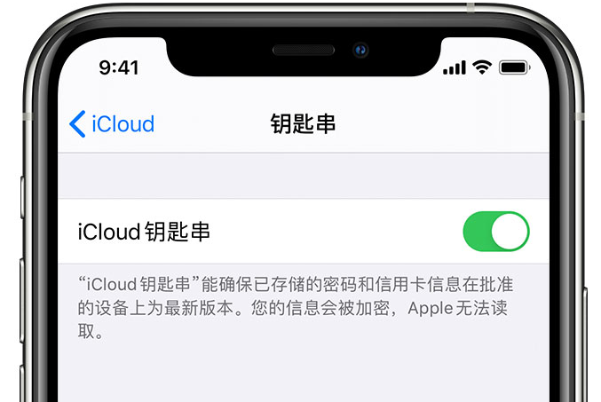 万宁苹果手机维修分享在 iPhone 上开启 iCloud 钥匙串之后会储存哪些信息 