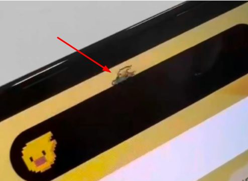 万宁苹果14维修分享iPhone 14 Pro Max灵动岛怎么养宠物 