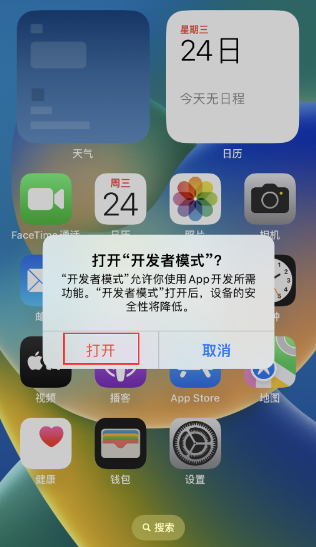 万宁苹果手机维修分享如何打开开发者模式 