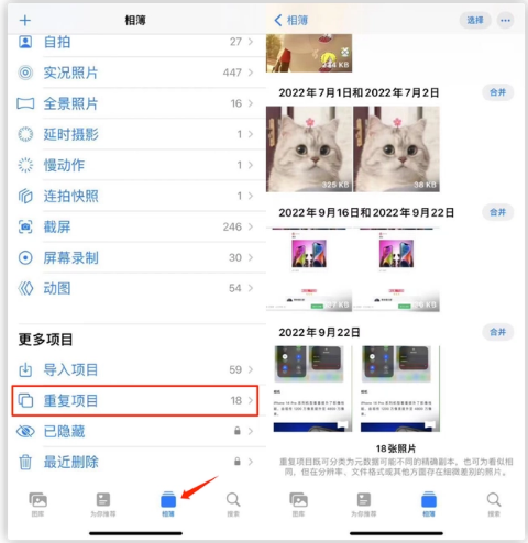 万宁苹果手机维修分享iOS 16 中相册重复项目功能使用方法 