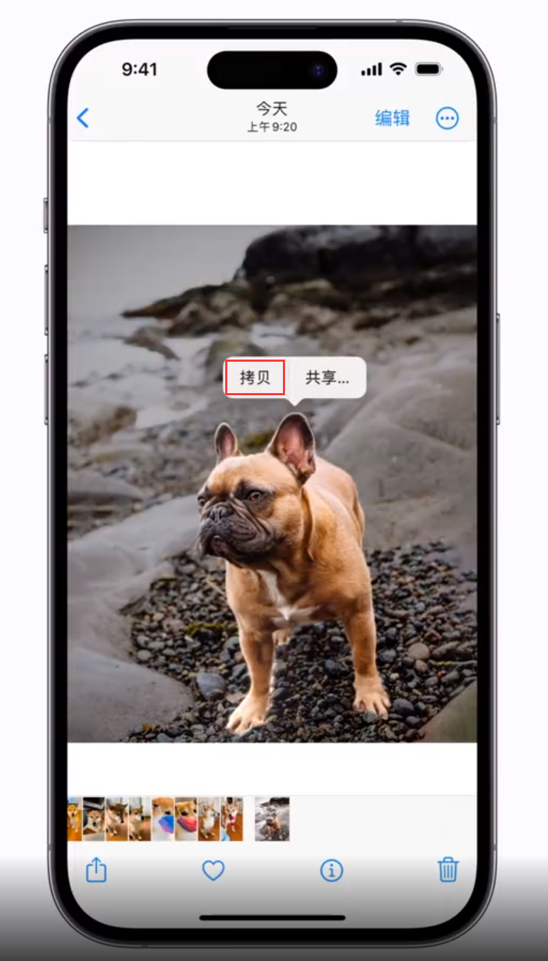 万宁苹果手机维修分享 iOS 16 自带一键抠图功能 