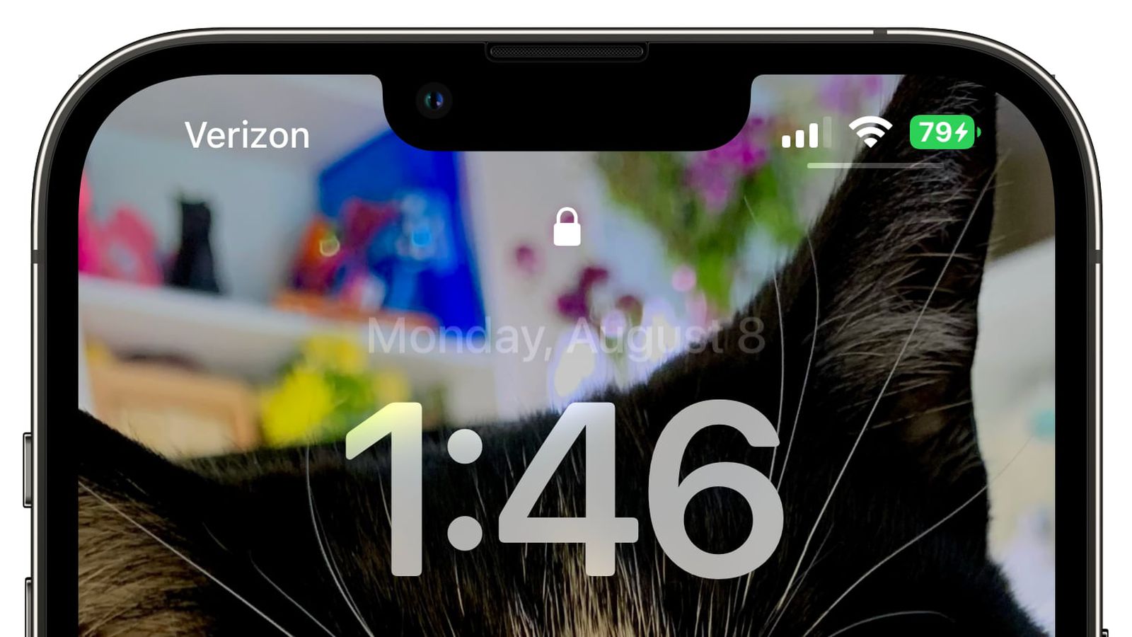 万宁苹果手机维修分享iOS 16 beta 5 支持状态栏显示电池百分比，如何开启？支持哪些机型 