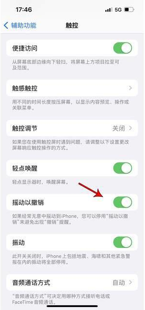 万宁苹果手机维修分享iPhone手机如何设置摇一摇删除文字 