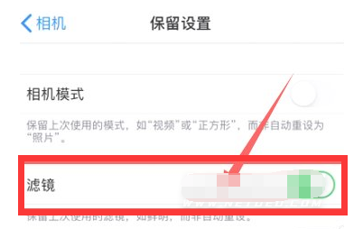 万宁苹果13维修分享iPhone13拍照有绿点是怎么回事 